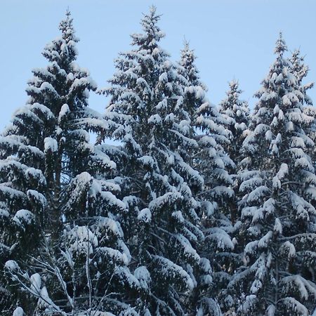 Holiday Home With Garden In Hellenthal Eifel Экстерьер фото