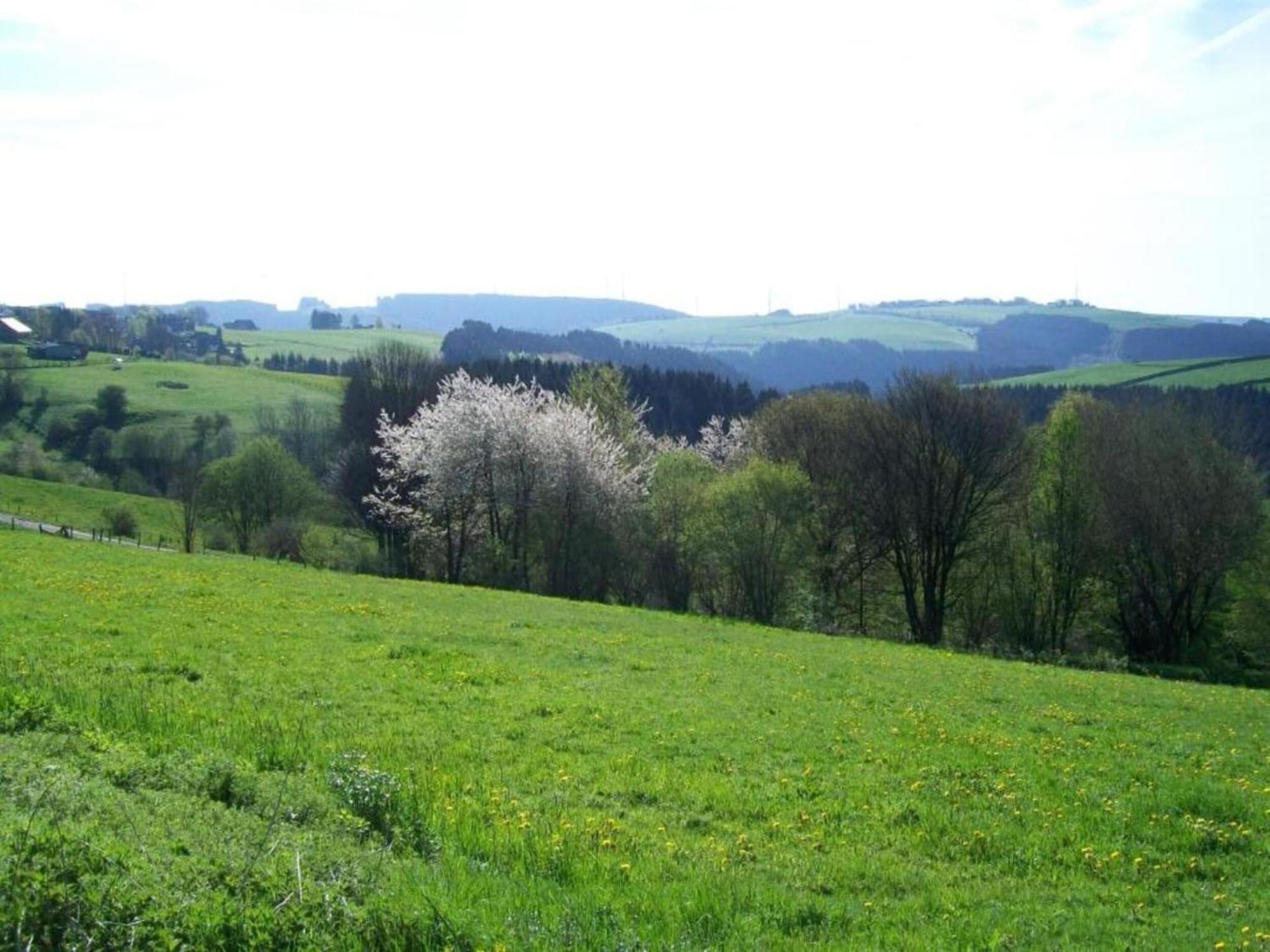Holiday Home With Garden In Hellenthal Eifel Экстерьер фото