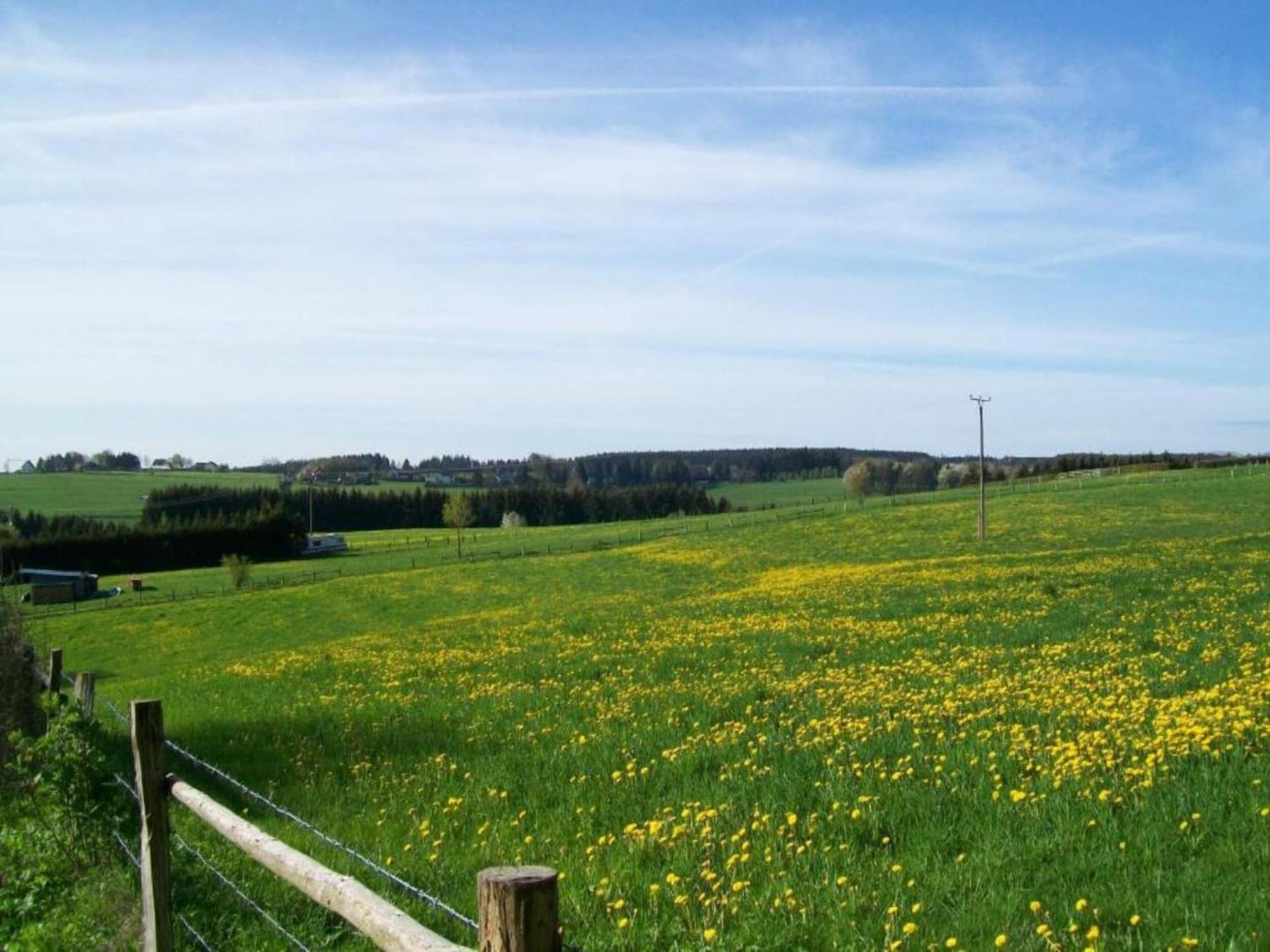Holiday Home With Garden In Hellenthal Eifel Экстерьер фото